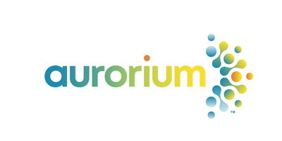 cerebrum